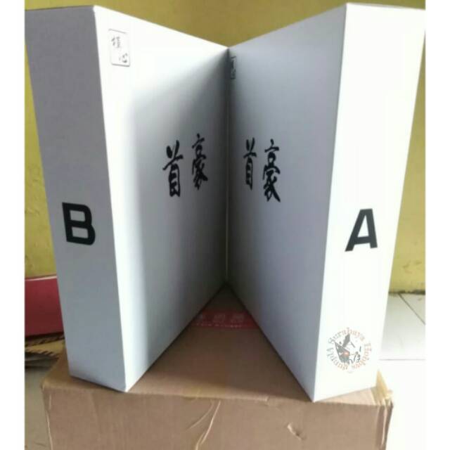 Gundam Wing Zero Custom Gundam MG 1/100 Seraphim Effect Supernova Model