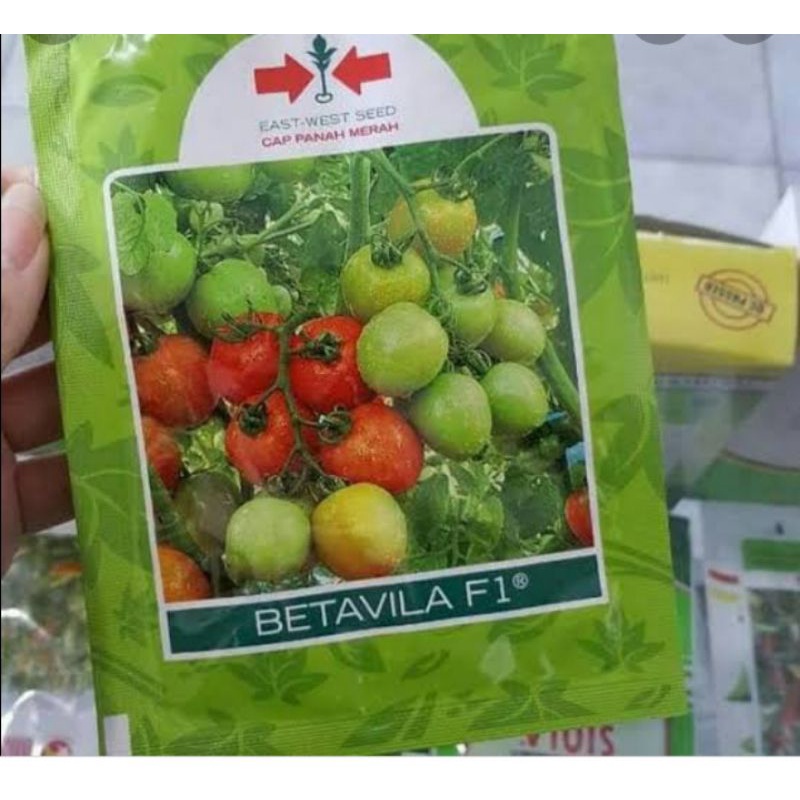 BENIH TOMAT BETAVILA//10 GRAM//CAP PANAH MERAH