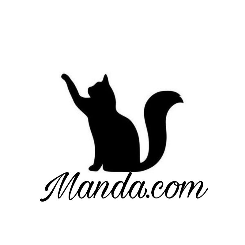 DICKIES 2 TONE USED ORI