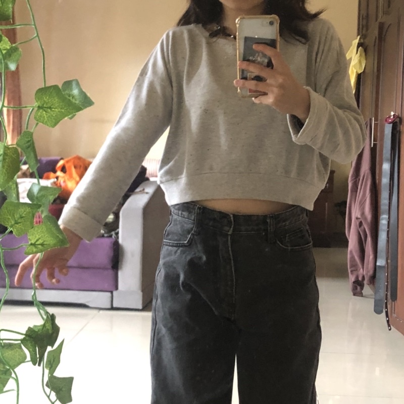 Zara Cropped Sweater / Crop Sweater