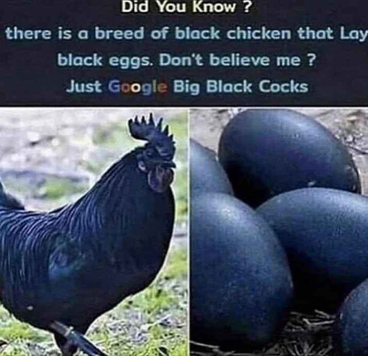 Ember Karet Tebal Anti Pecah 10 Liter