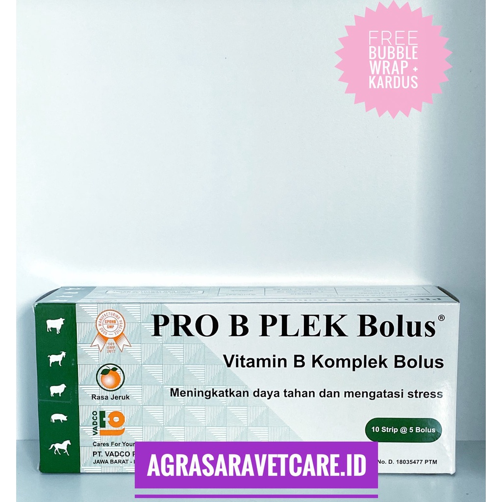 PRO B PLEK 1 DUS (ISI 50 BOLUS)- Vitamin B kompleks Hewan BOLUS RASA JERUK
