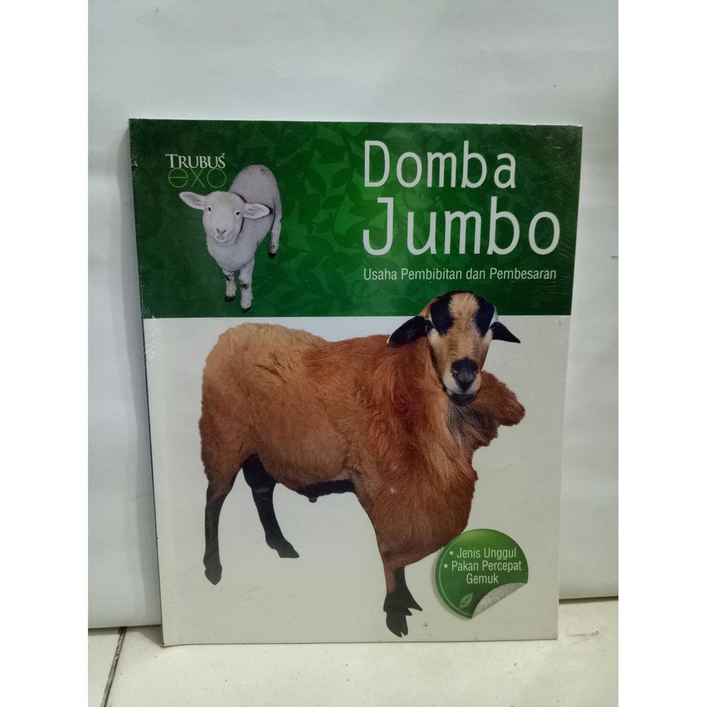 Trubus Exo Domba Jumbo