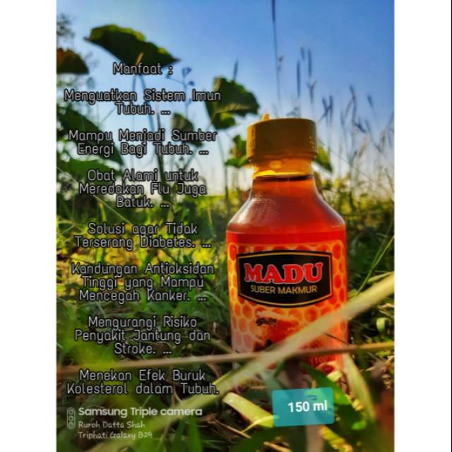 

Madu Murni Sumber Makmur