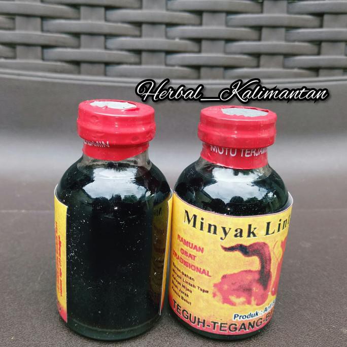Minyak Lintah Tapa Kalimantan Pendek