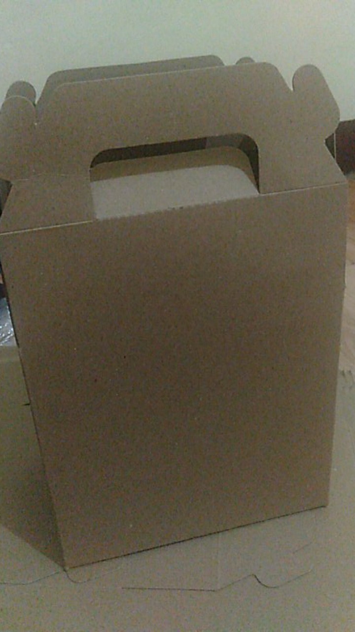 Gable Box : 17.5x12x16 Cm /  Box Thinwall / Box Botol / Box Hampers Dessert