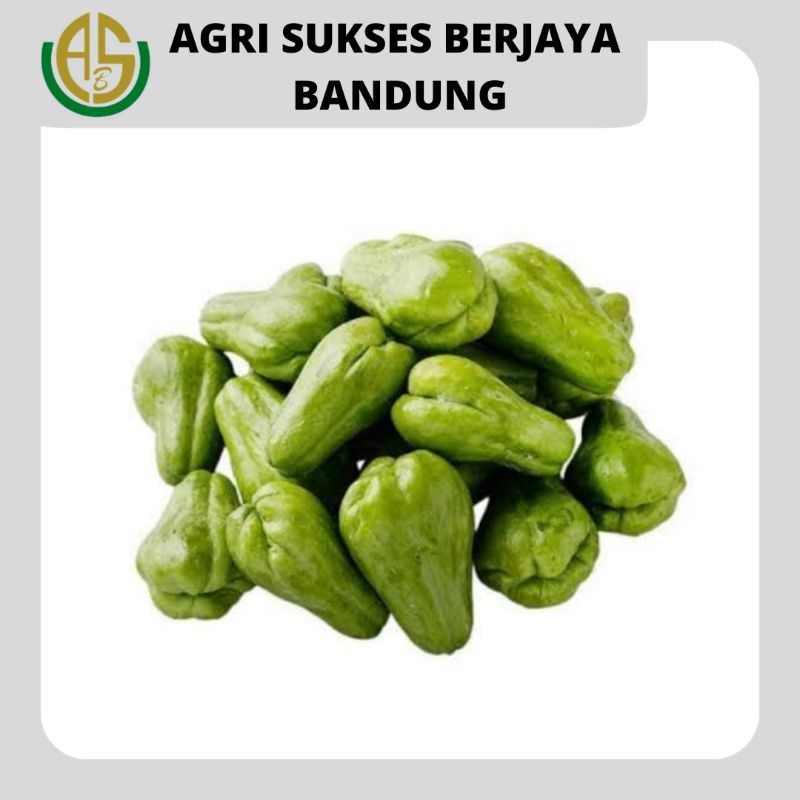 

Labu Siam Baby / Waluh Baby - 500 Gram