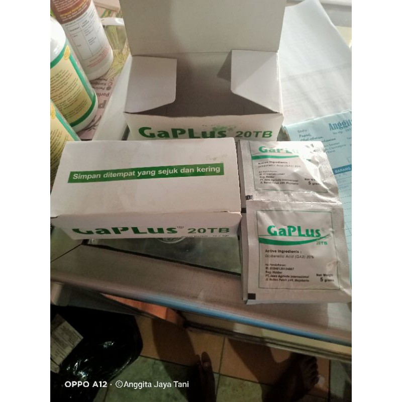 GAplusGA3 20% nutrisi pembesar buah