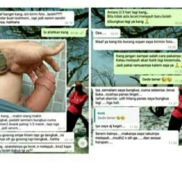 Best Seller Daun Bungkus 3 Jari Asli Herbal Kode 8578 Shopee Indonesia