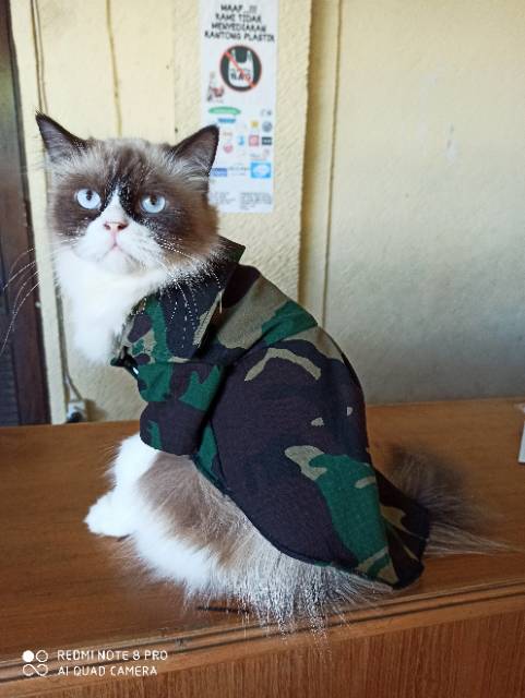 Baju kucing army tentara