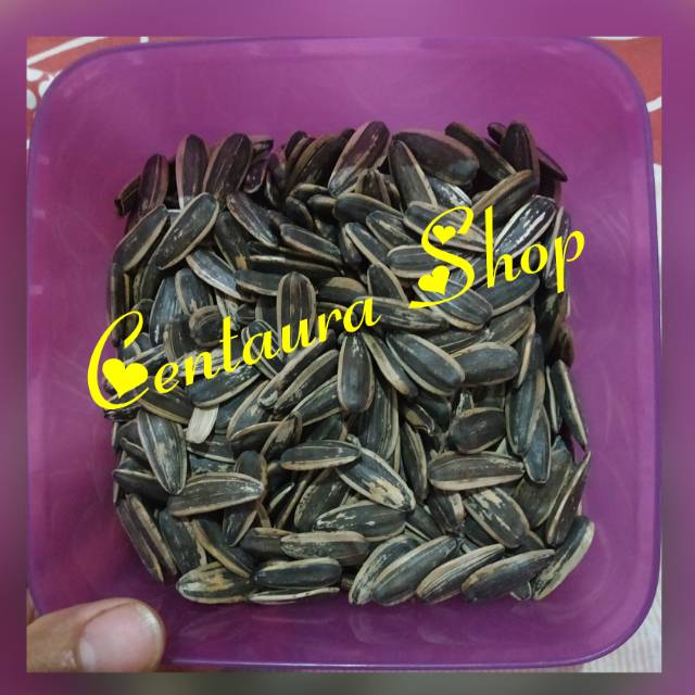 

Kwaci Bunga Matahari Renyah Gurih Asli Kwalitas Unggul 1000gr