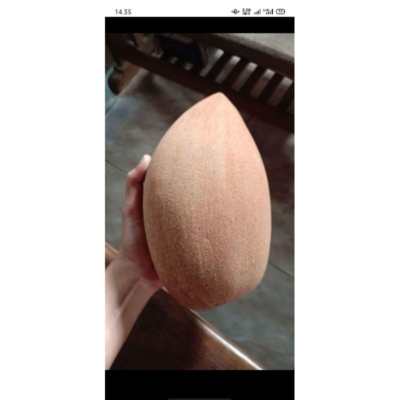 

MAMEY SAPOTE SAWO RAKSASA