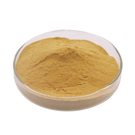 Bubuk Lempuyang 500 gram Serbuk Puyang Wangi Zingiber aromaticum Powder