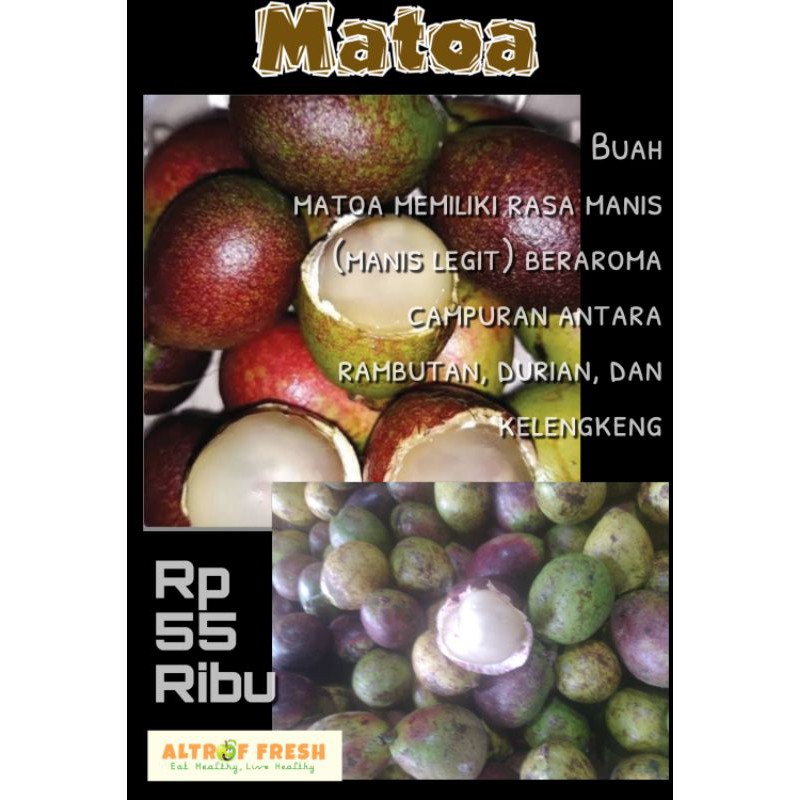 

Matoa / 500gram - 1Kg