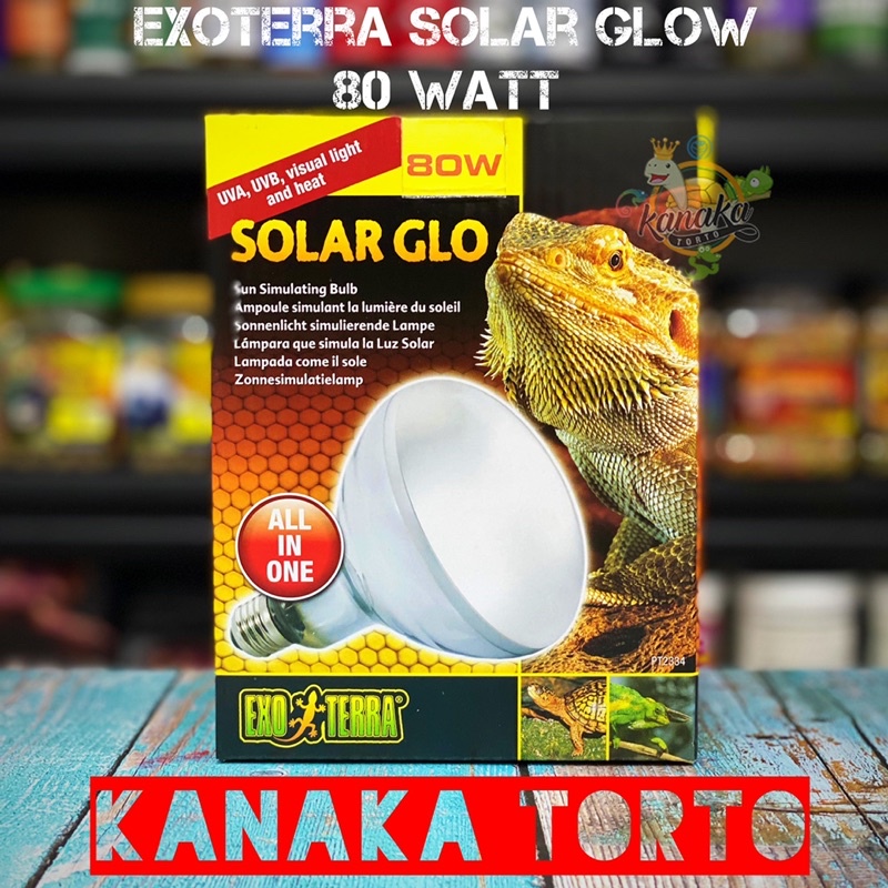 Jual Exoterra Solar Glo 80 Watt Lampu Uva Uvb Reptil Kura Kadal Torto
