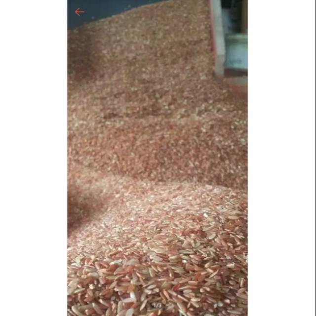 

Beras merah pulen 5kg