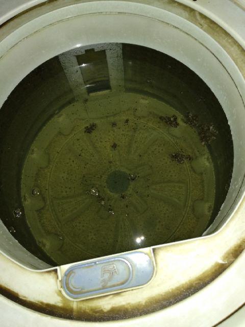 Agabang Putto Houzz Washing Machine Cleaner