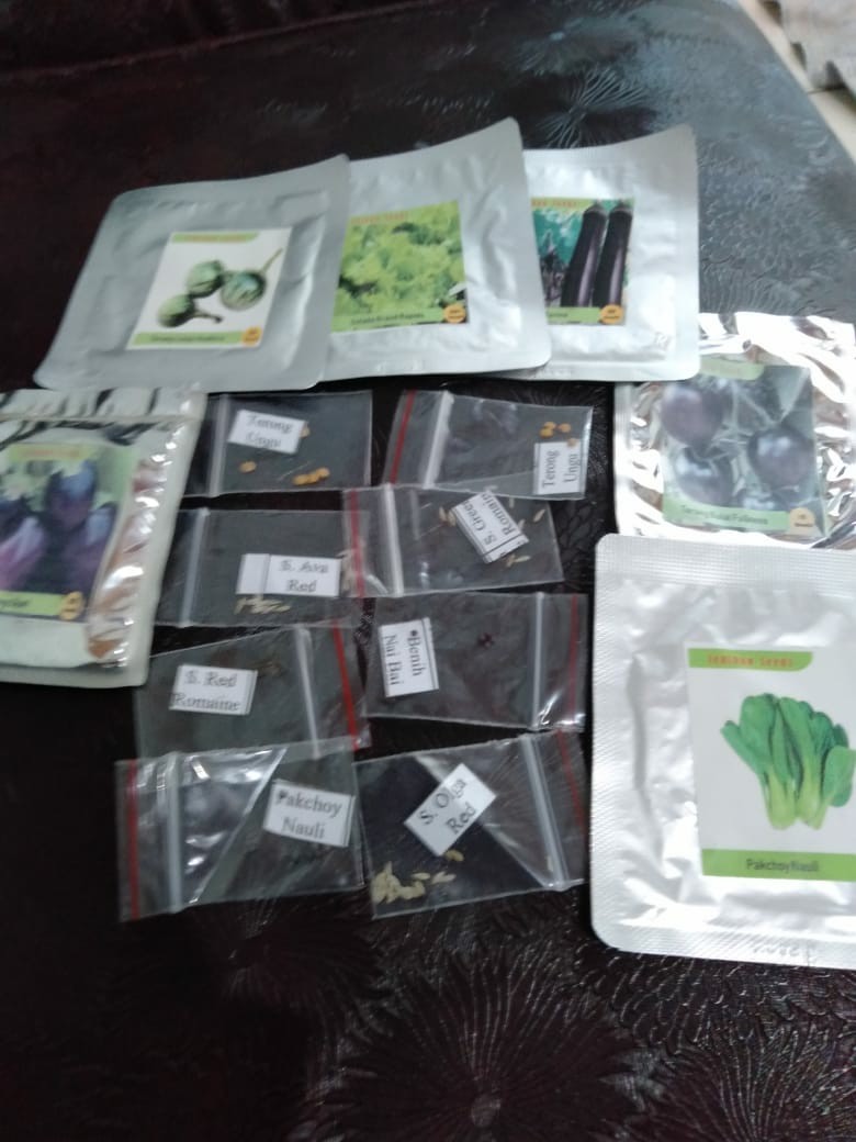 Benih Bibit Biji Terong Torino Ungu Panjang Kemasan Alumunium Foil