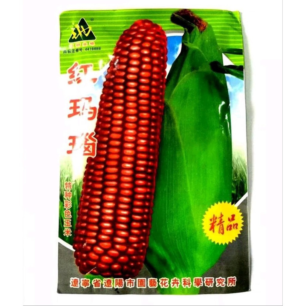 25 biji Benih Jagung Pulut Merah Rasa Manis