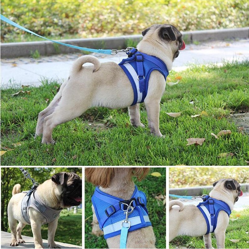 Rompi Harness Anjing Kucing Chest Harness Vest with Dog Leash BIB97