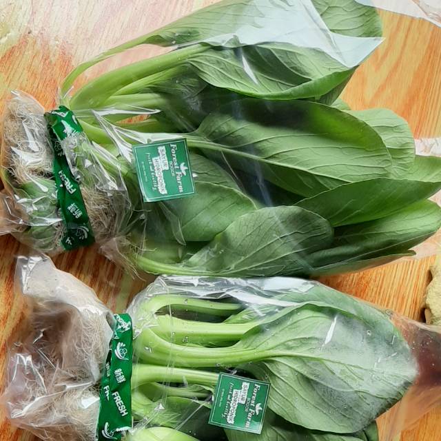 

Pakcoy / sayur pakcoy / sayuran hidroponik 1 kg