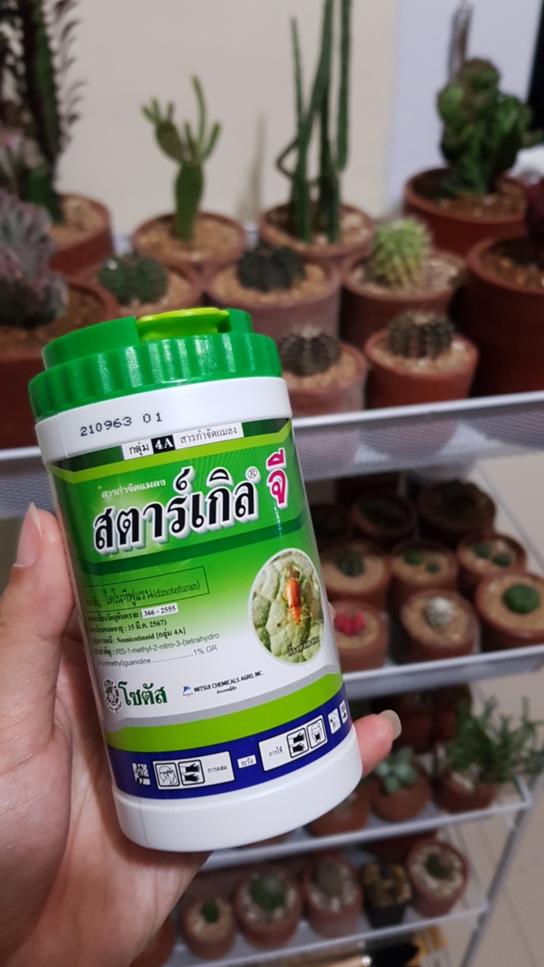 Starkle G Thailand - 250 Gram Kemasan Asli Bukan Repacking