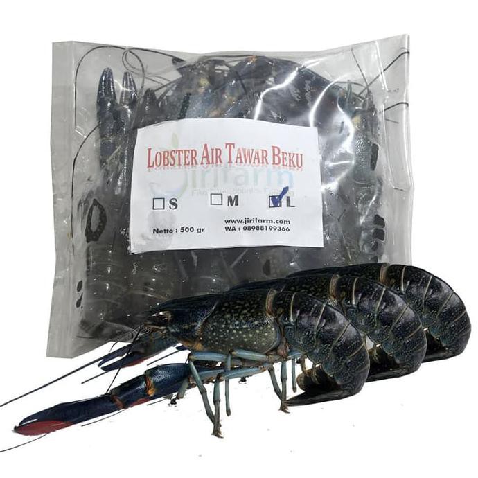 

Jirifarm Lobster Air Tawar Beku (Lat Frozen) Size L Kemasan 500 Gr