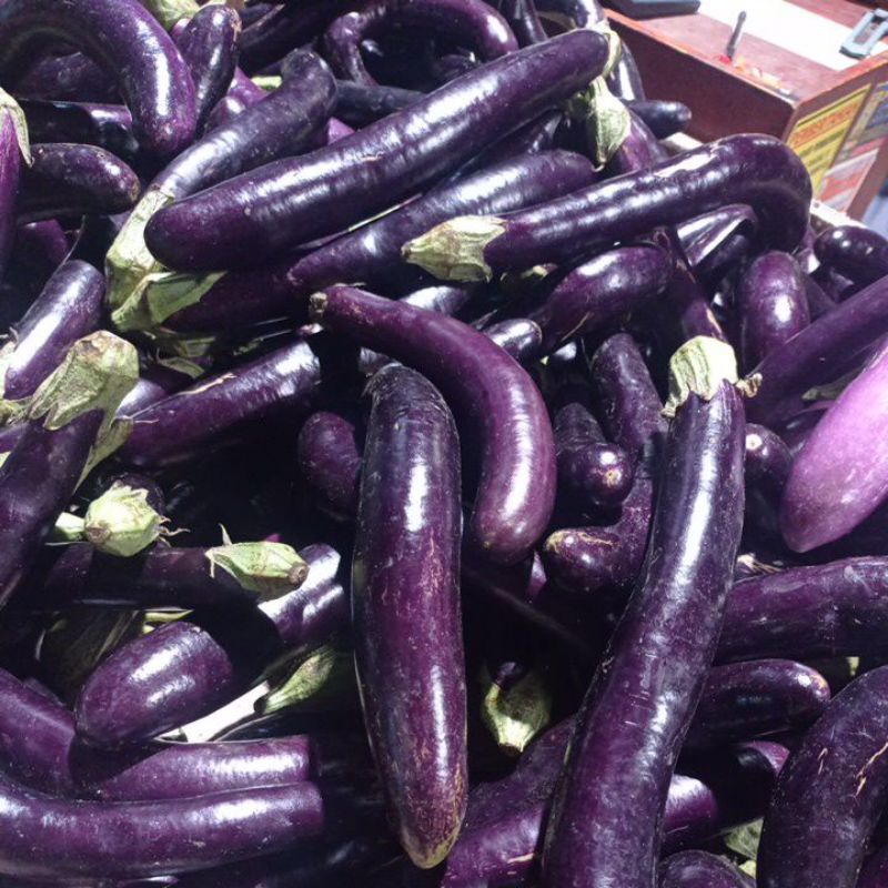 

terong ungu segar 1kg