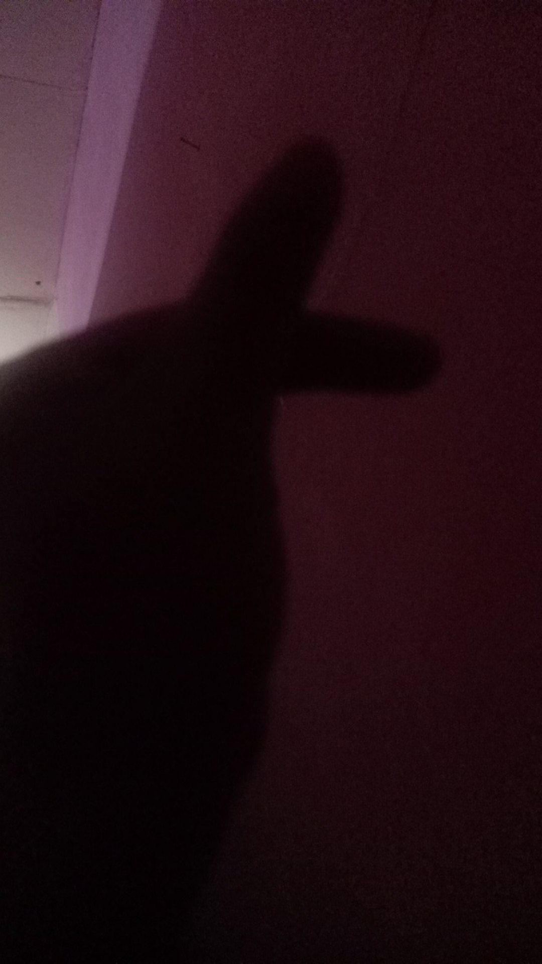 Inoue Sabut Spons Cuci Piring Busa Pembersih Serbaguna