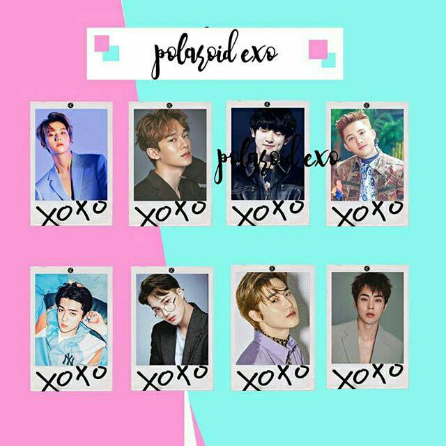 Polaroid exo