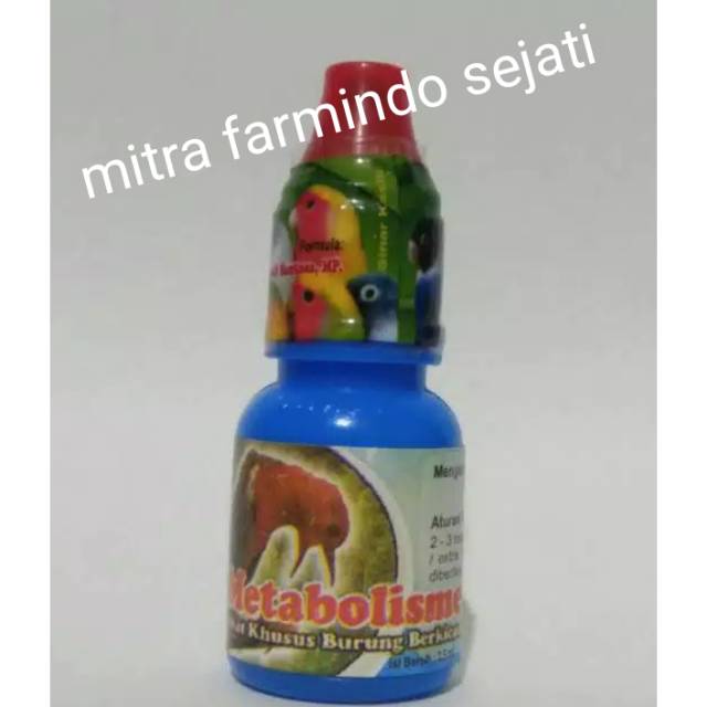 metabolisme burung dr edi original asli