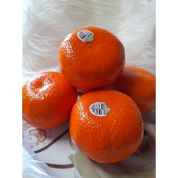 

Jeruk Murcott Gaypack 1kg Manis