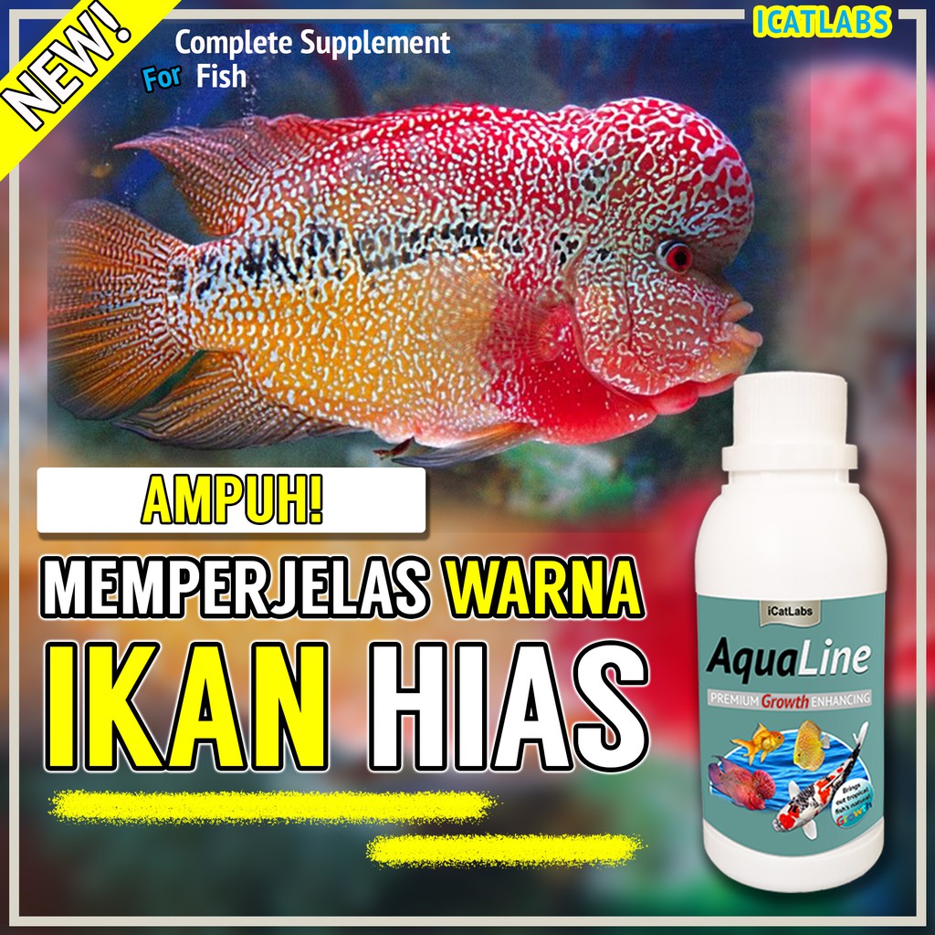 [A4] AQUALINE PAKAN WARNA IKAN IKAN KOI ARWANA IKAN KOKI IKAN ARWANA IKAN LOUHAN IKAN AQUARIUM