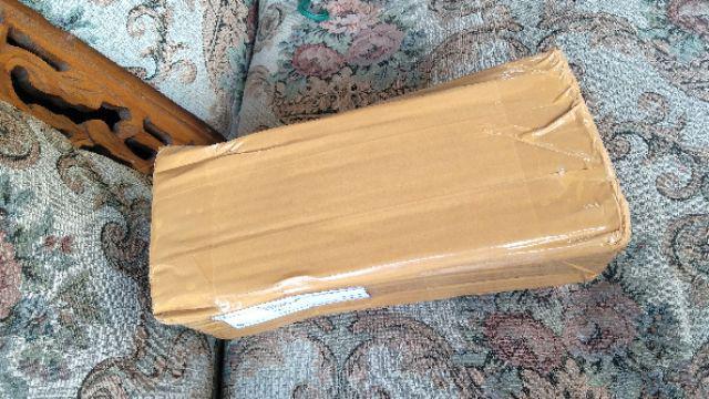 No 20 Tanaman Hias Miana/coleus/iler/jawer Kotok