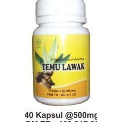 

Kualitas Terjamin Temu Lawak (Penambah Nafsu Makan) Dijamin Asli