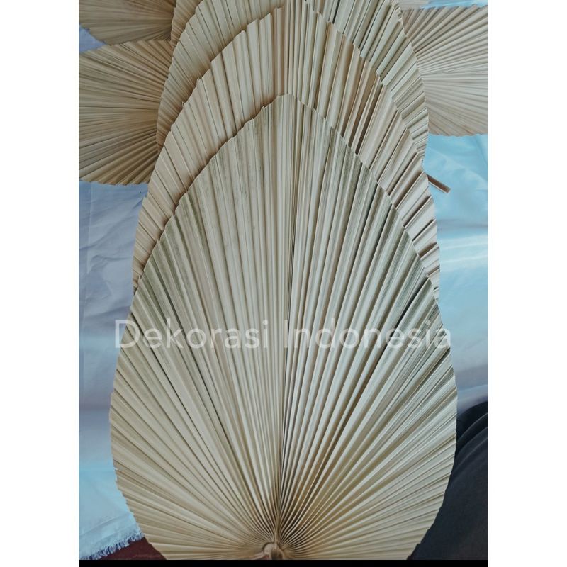 Daun Palem Kering Hijau