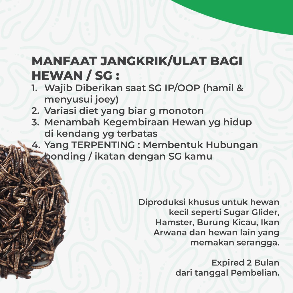 ADEWAP GLIDER Ulat Hongkong Kering 40gr Dried mealworm Sugar Glider