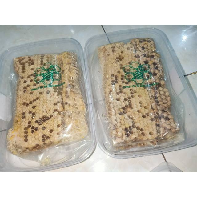 

MADU LARVA MADU SARANG PLUS LARVA UNTUK PENGOBATAN DAN BISA BUAT BOTOKAN