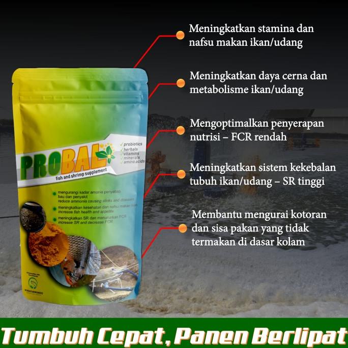 Probiotik Herbal (Probal) Penambah Nafsu Makan & Penggemuk Ikanudang