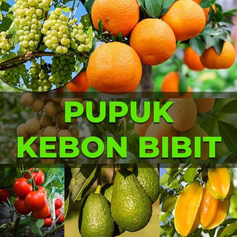 Pupuk kebon bibit beli 1 gratis 1