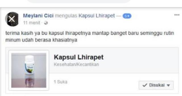 Lhirapet Kapsul Ekstrak Liza Herbal Untuk Kesehatan Organ Wanita