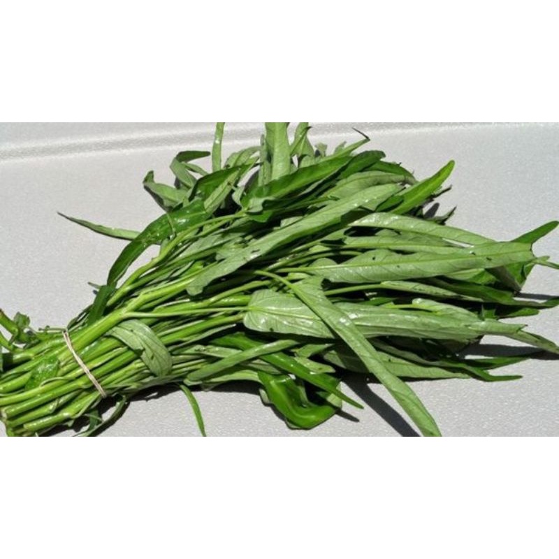 

kangkung akar || 1 ikat