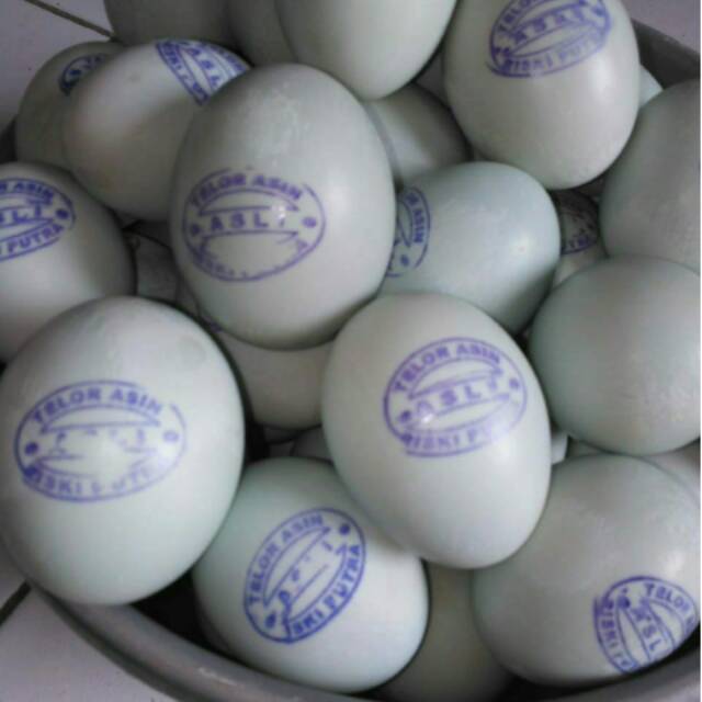 

TELUR ASIN MATANG