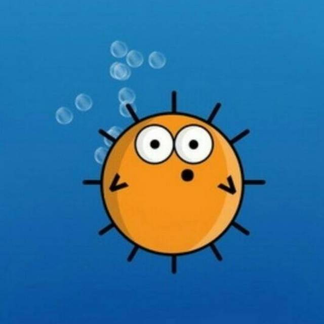 081320494063syakiratiara