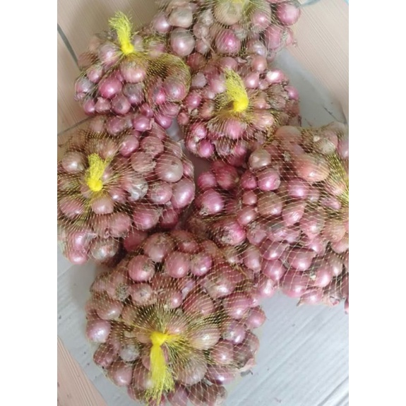 

Bawang Merah Besar