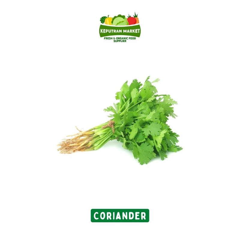 Coriander / Yensui / Daun Ketumbar Per Ikat / Produk Langka