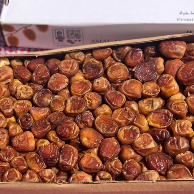 

Kurma Sukari , Golden Mesir, dan Mesir El Waha