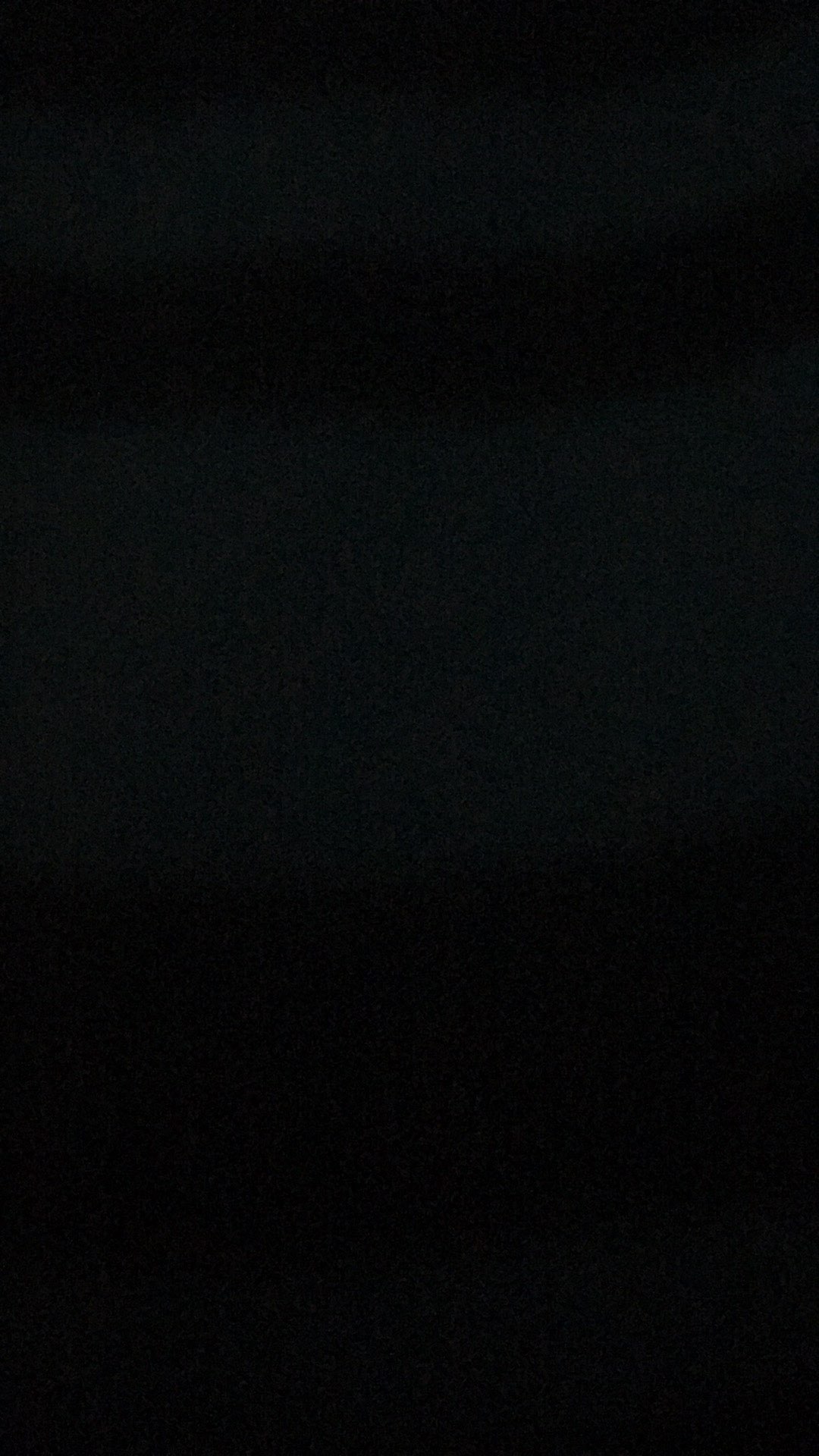 Teko Air Florida Lion Star