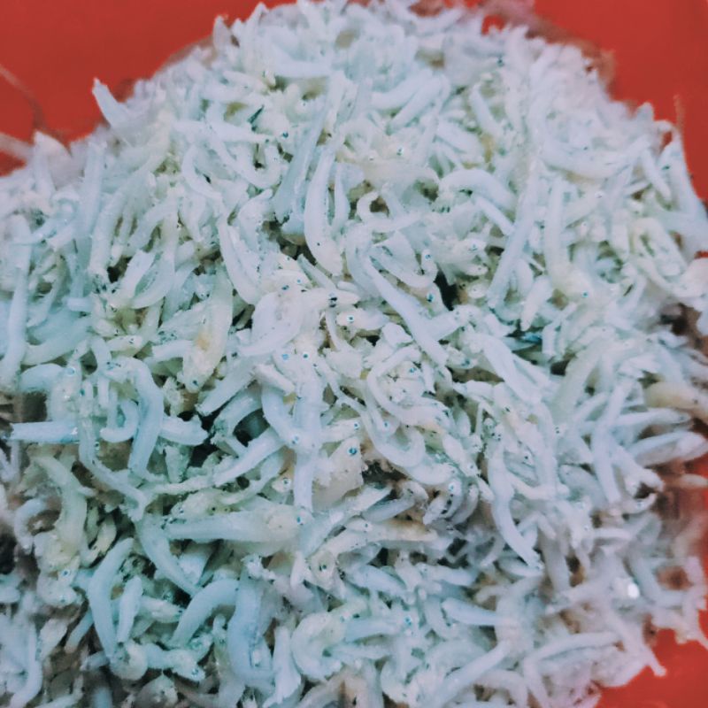 

Ikan Teri Medan