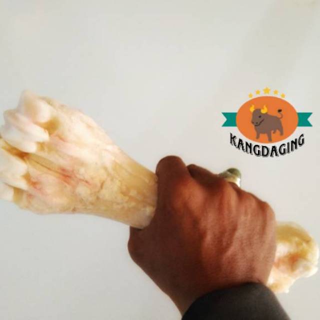 Tulang sumsum tulang sumsum kaki sapi 1pc | Shopee Indonesia